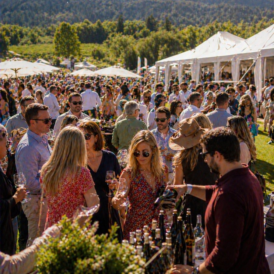 Wine Tasting Festival, Napa Valley, CA